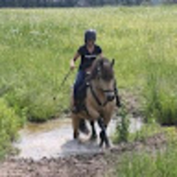 Meet your Posher, Denise - Picture 1 of 1